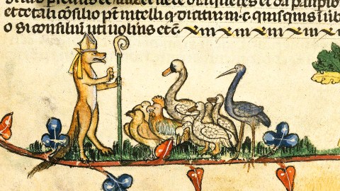 An illustration of a non-human main character, a fox, with birds on a branch.