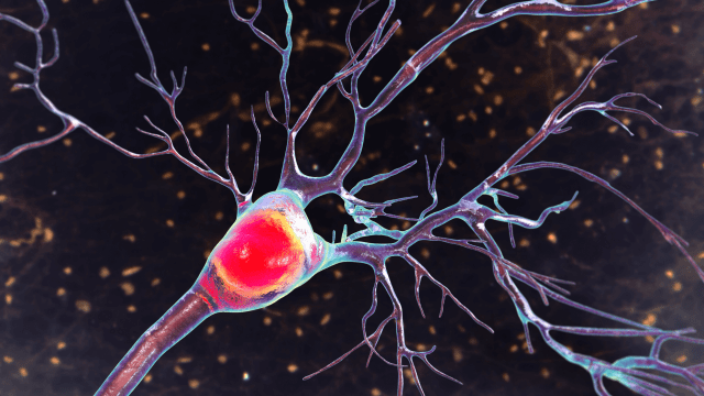 Close-up illustration of a neuron cell with branching dendrites and axon, set against a dark background with small glowing particles, evoking the intricate physics of consciousness.